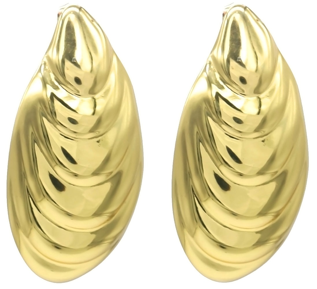F-D1.1 E126-136G S. Steel Earrings Shell 4.5x2.5cm