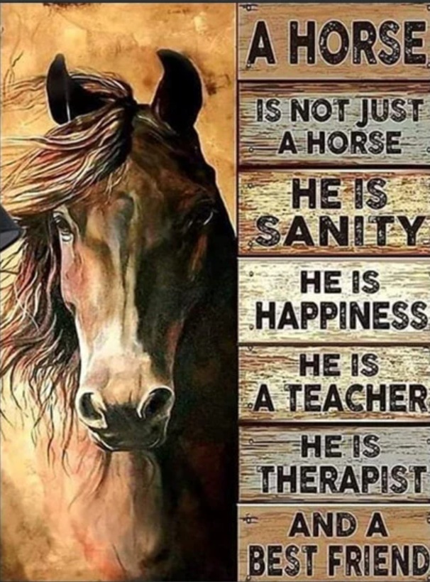 R-L4.1 DP2545055 Diamond Painting -Canvas 50x40cm - Painting 45x35cm Horse