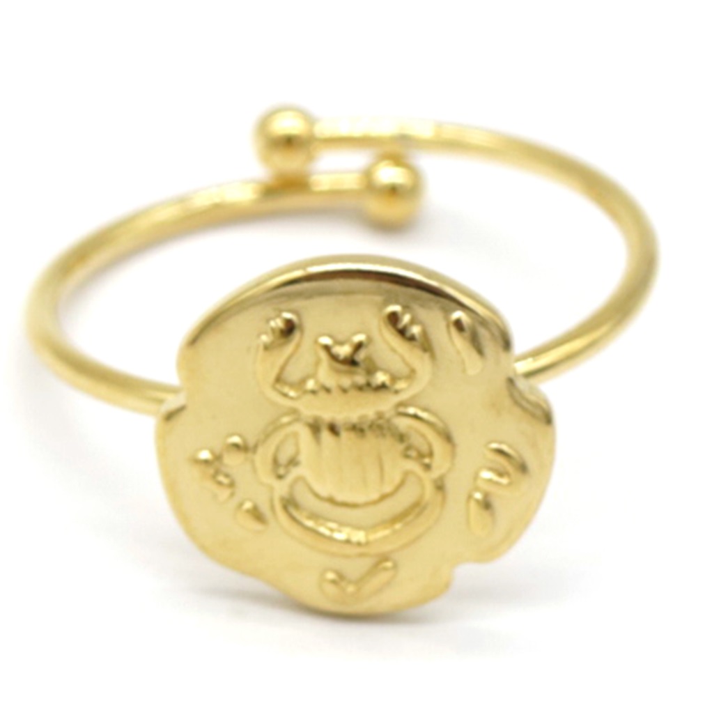 D-D16.2 R031-011G S. Steel Ring Scarabee Adjustable