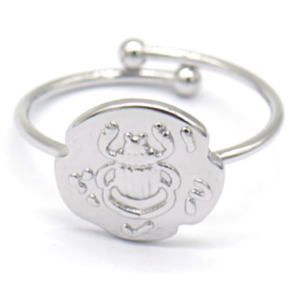 D-F21.3 R031-011S S. Steel Ring Scarabee Adjustable