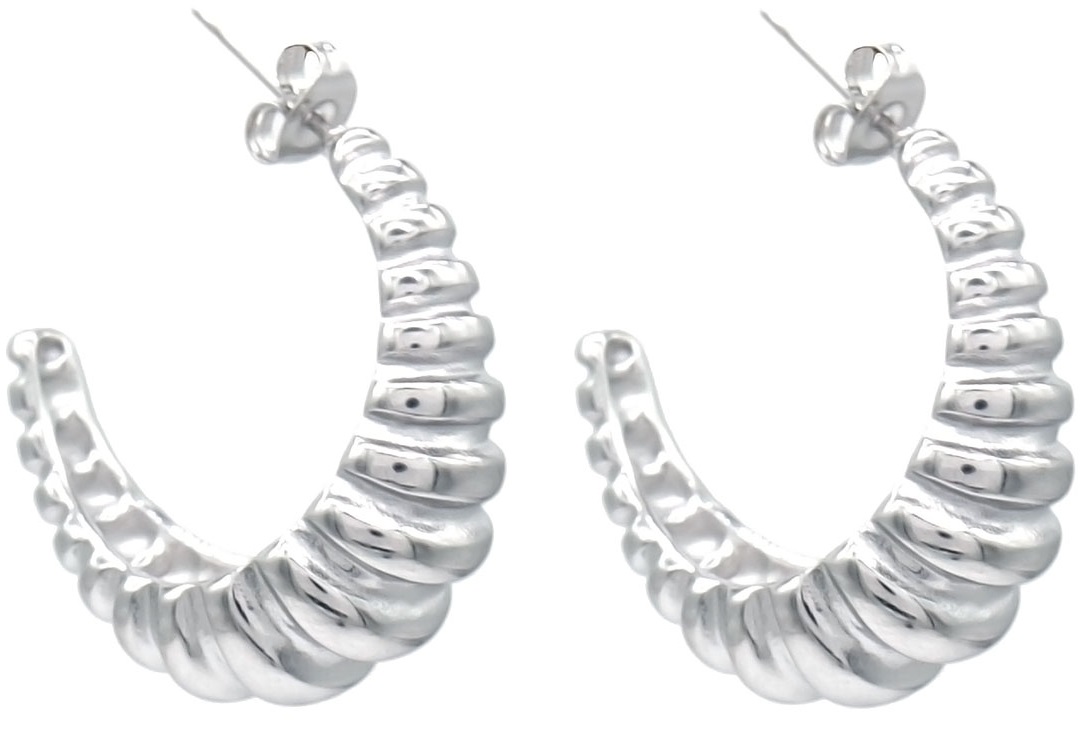 E-E25.2 E126-087S S. Steel Earrings 3cm