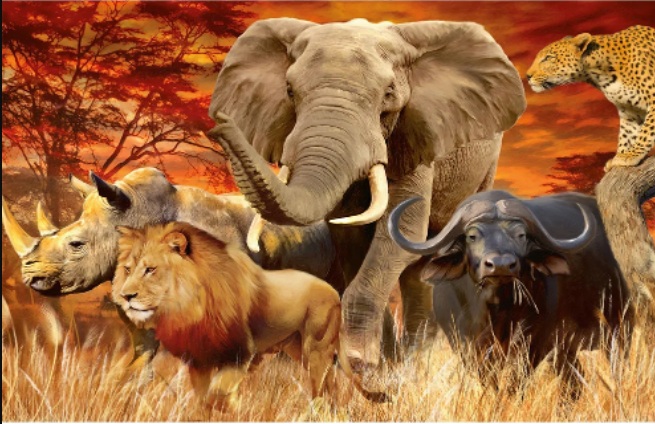 R-I6.2  DP2545041 Diamond Painting -Canvas 50x40cm - Painting 45x35cm Animals