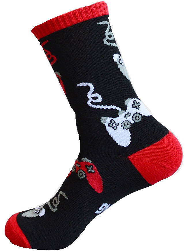 S-B1.5  SOCK2356-016-2 Pair of Socks Size 38-45 Controllers