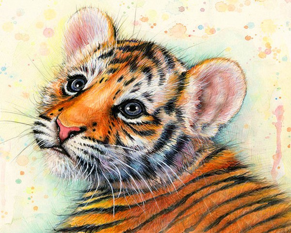 I-F14.1  Diamond Painting Set Tiger 30x20cm