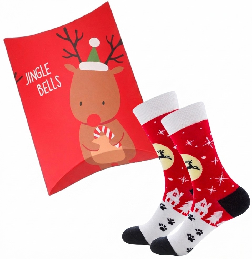 X-I4.1 SOCKS2626-020 Giftset Socks Christmas - 1 Pair