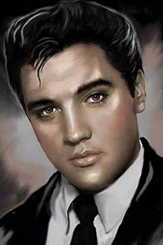 T-C2.2  DP75461 Diamond Painting Canvas 40x30cm - Painting 35x25cm Elvis T-C2.2  DP75461 Diamond Painting Canvas 40x30cm - Painting 35x25cm Elvis