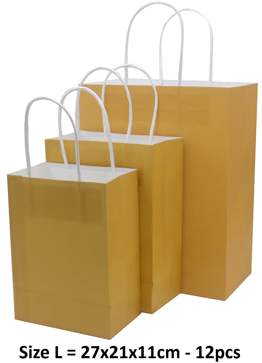 Q-P8.1  PK1009-004L Paper Gift Bag Size L 21x15x8cm - 12pcs